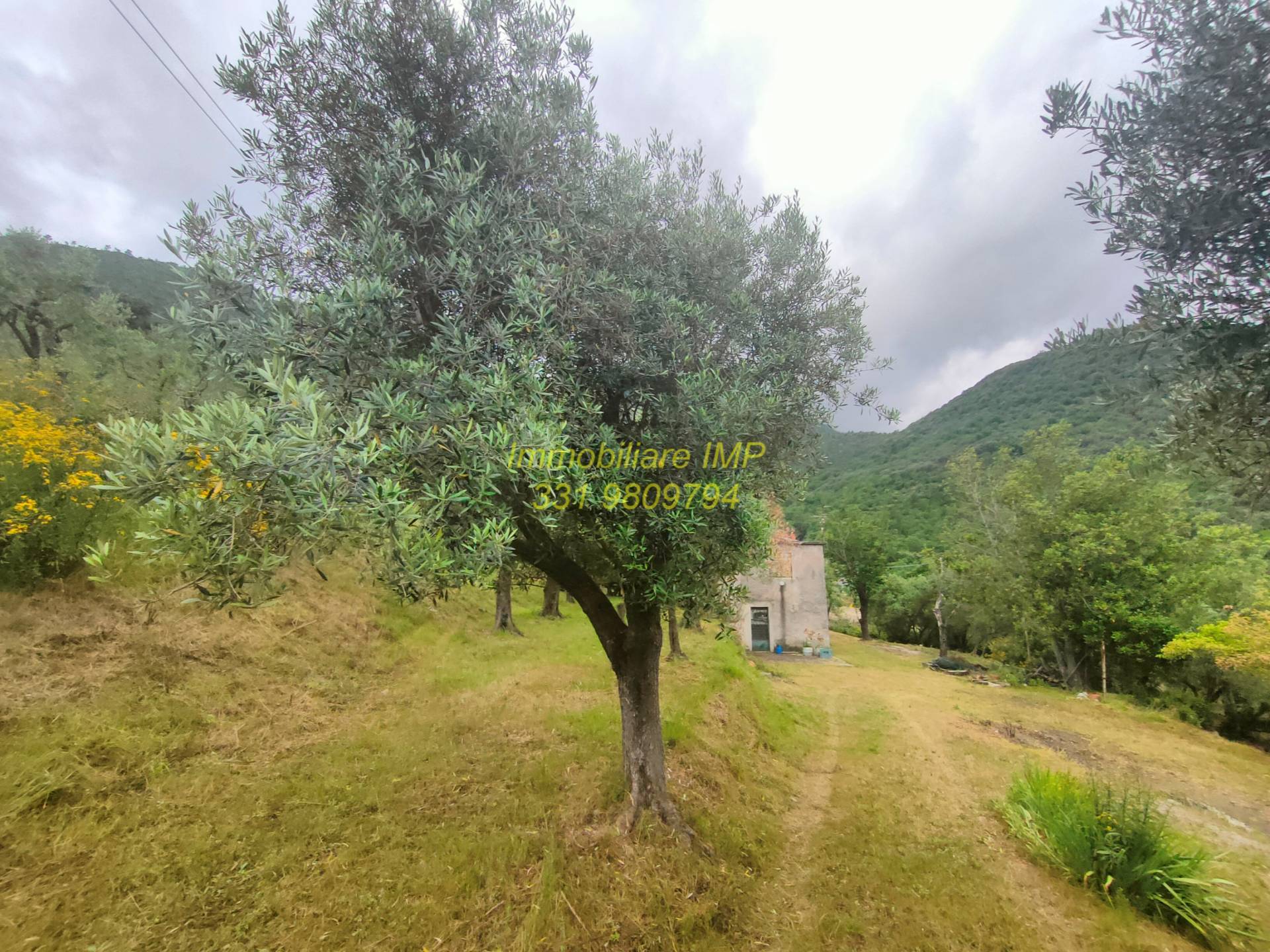 TC Turistico Ricettiva in vendita a Loano