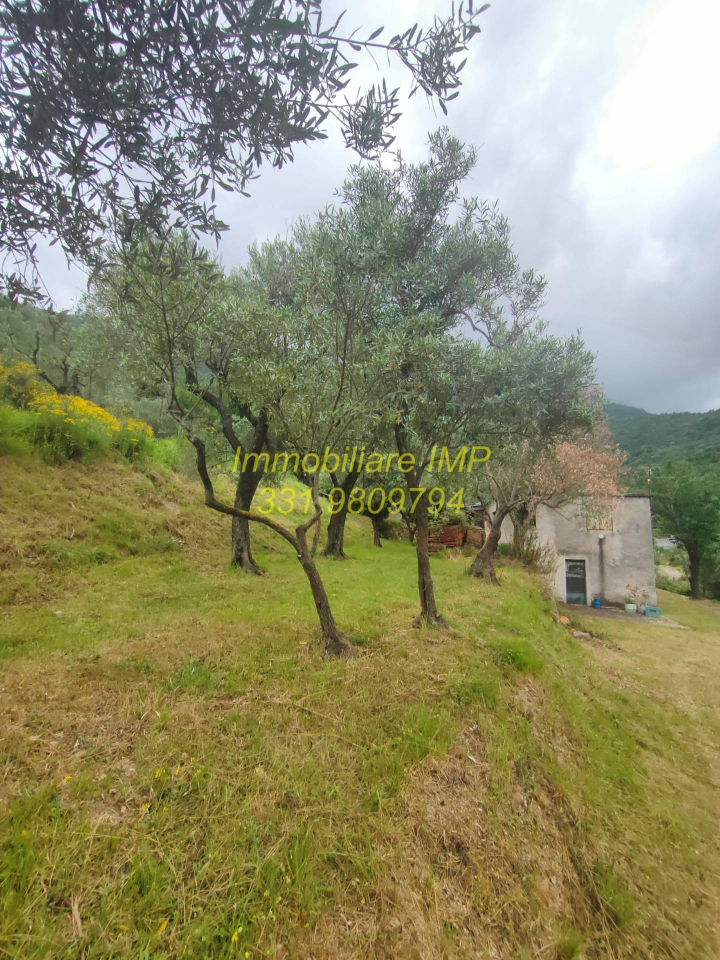 TC Turistico Ricettiva in vendita a Loano