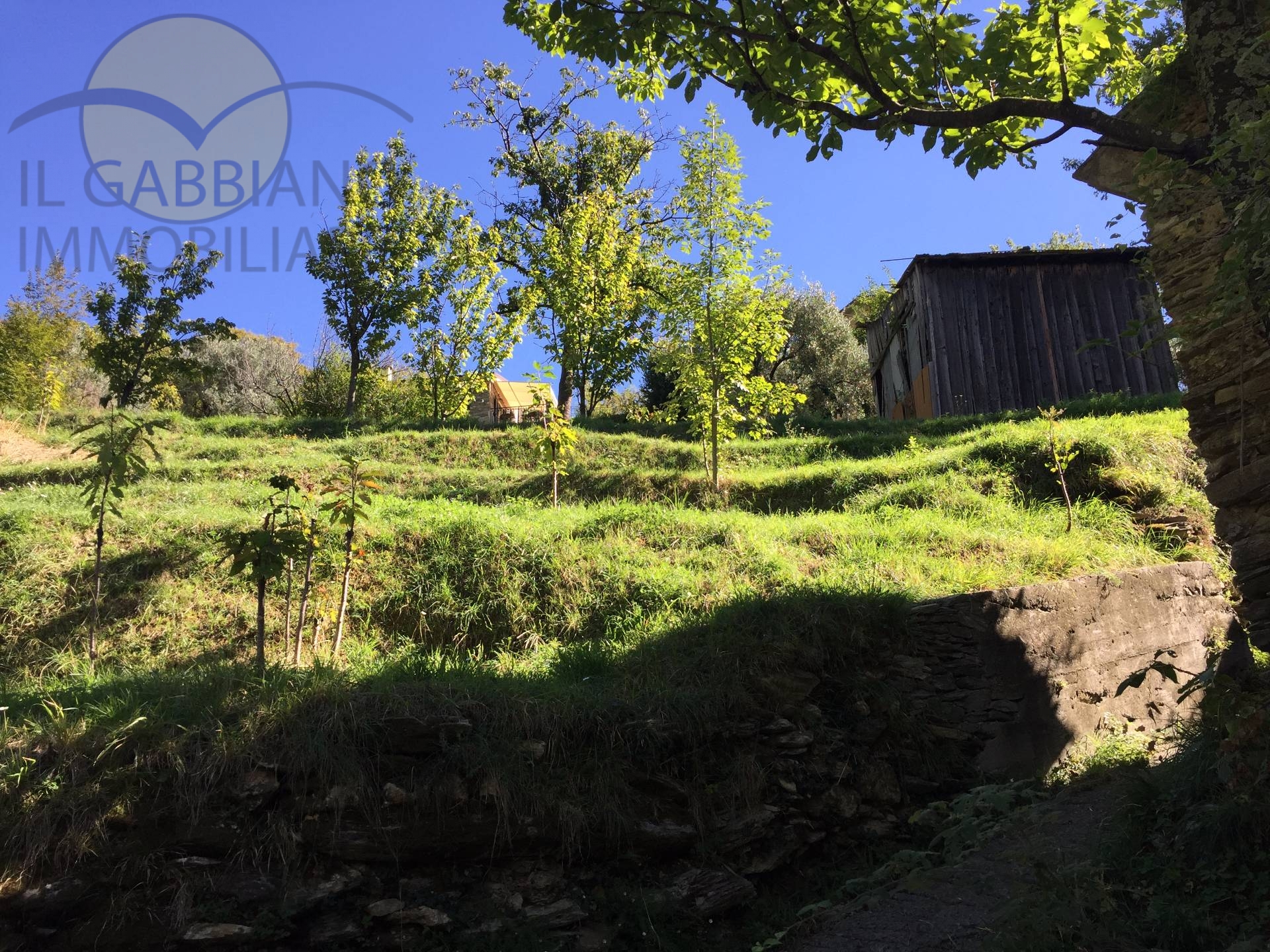 Area edificabile in vendita a Avegno, Testana