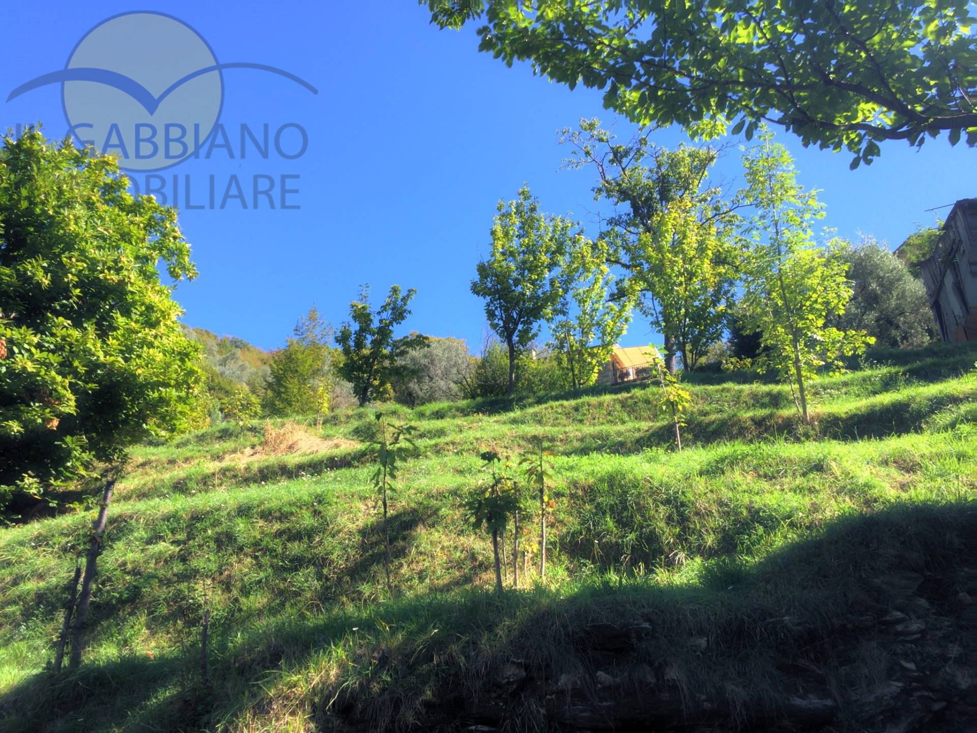 Area edificabile in vendita a Avegno, Testana