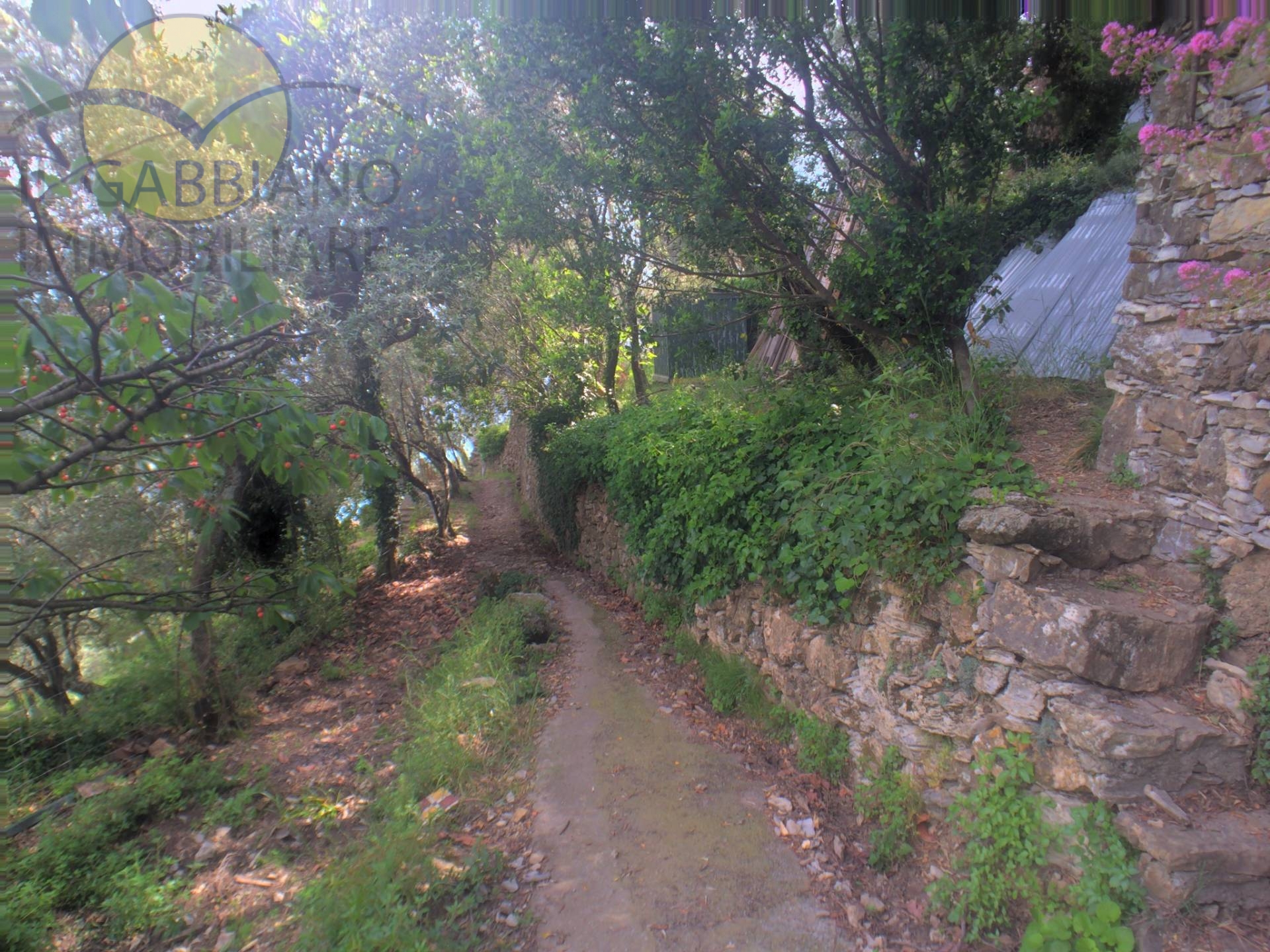 Casa indipendente in vendita a Recco, Megli