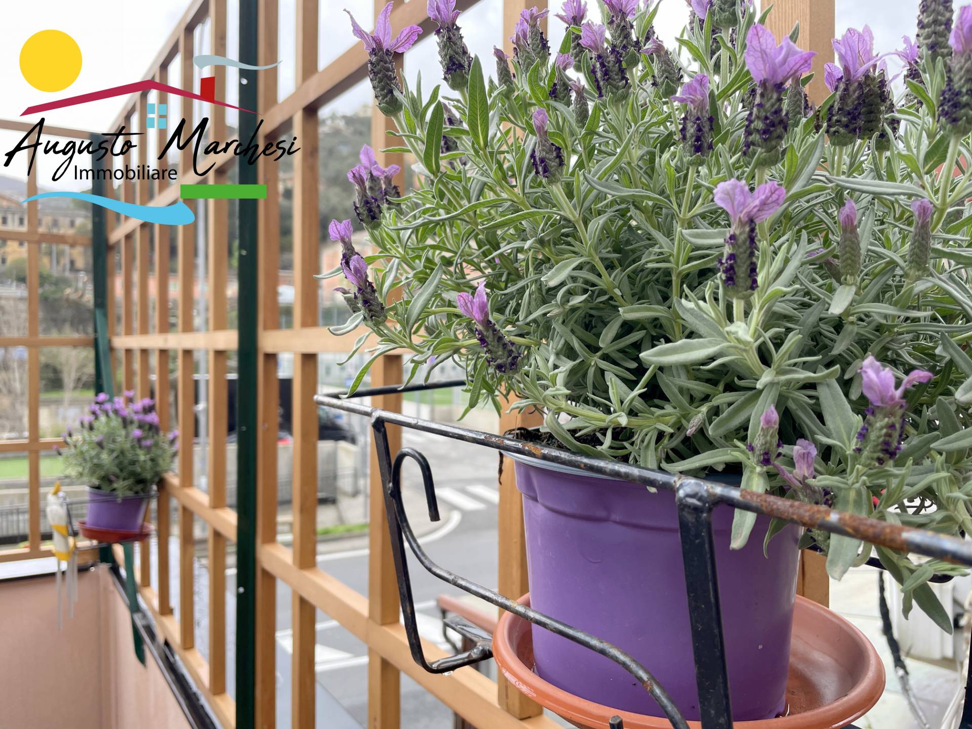 Appartamento in affitto a Recco, Centro