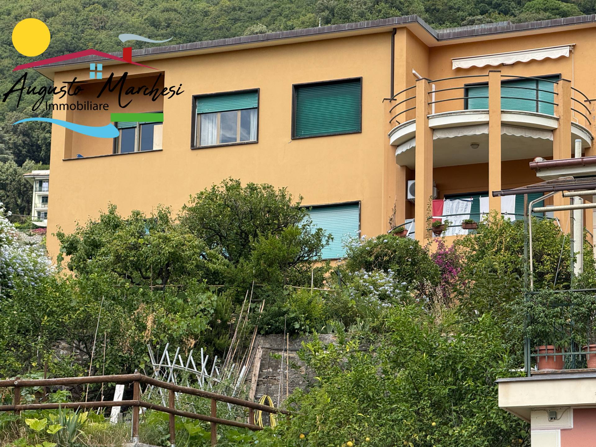 Appartamento in affitto a Camogli