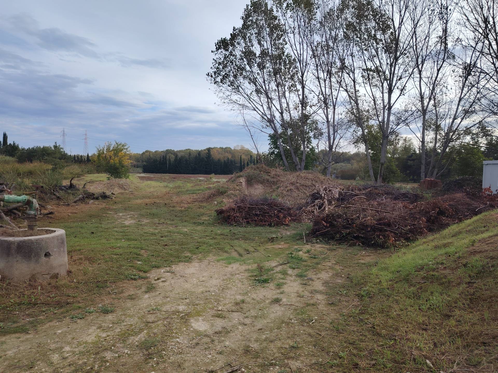 Terreno Agricolo in vendita a Collecorvino, Congiunti