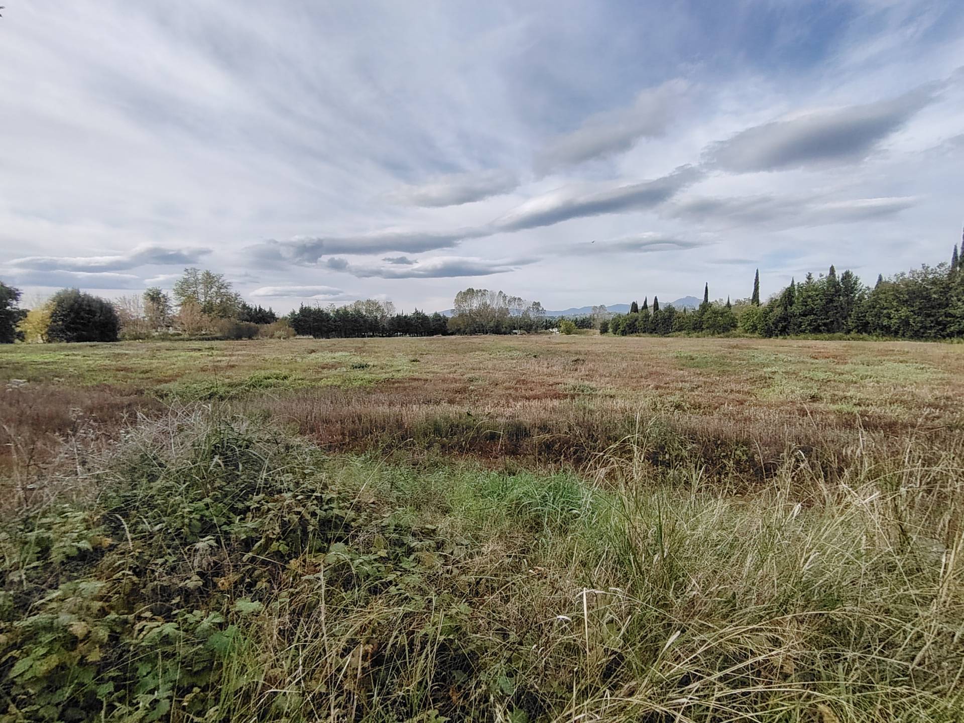 Terreno Agricolo in vendita a Collecorvino, Congiunti
