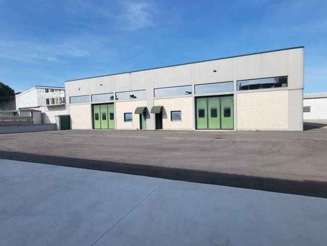 immagine annuncio 1 di 10