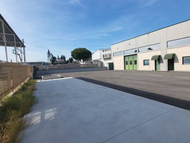 Capannone in affitto a Montesilvano