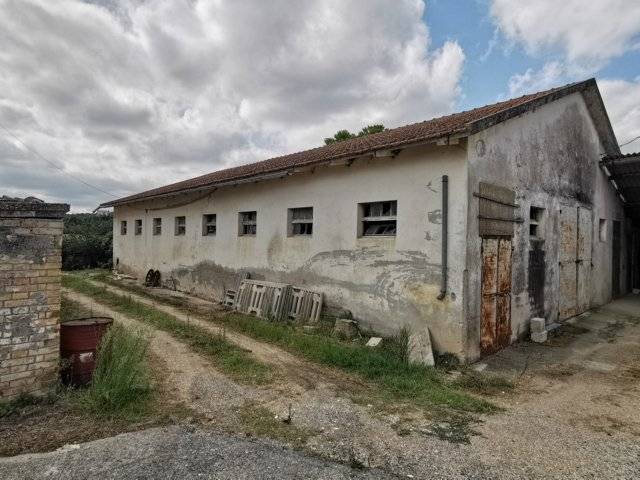 Casa singola in vendita a Collecorvino