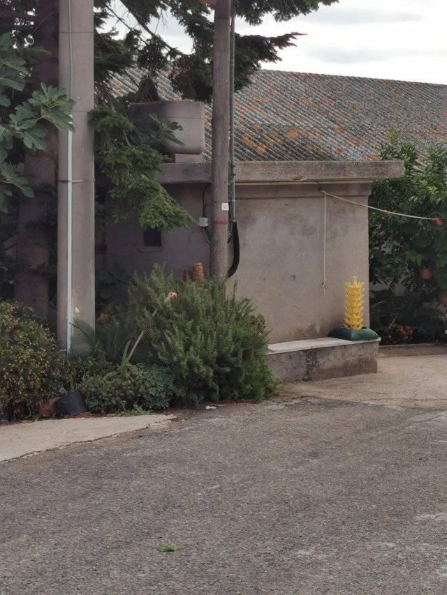 Casa singola in vendita a Collecorvino