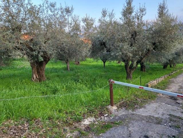 Terreno edificabile in vendita a Montesilvano