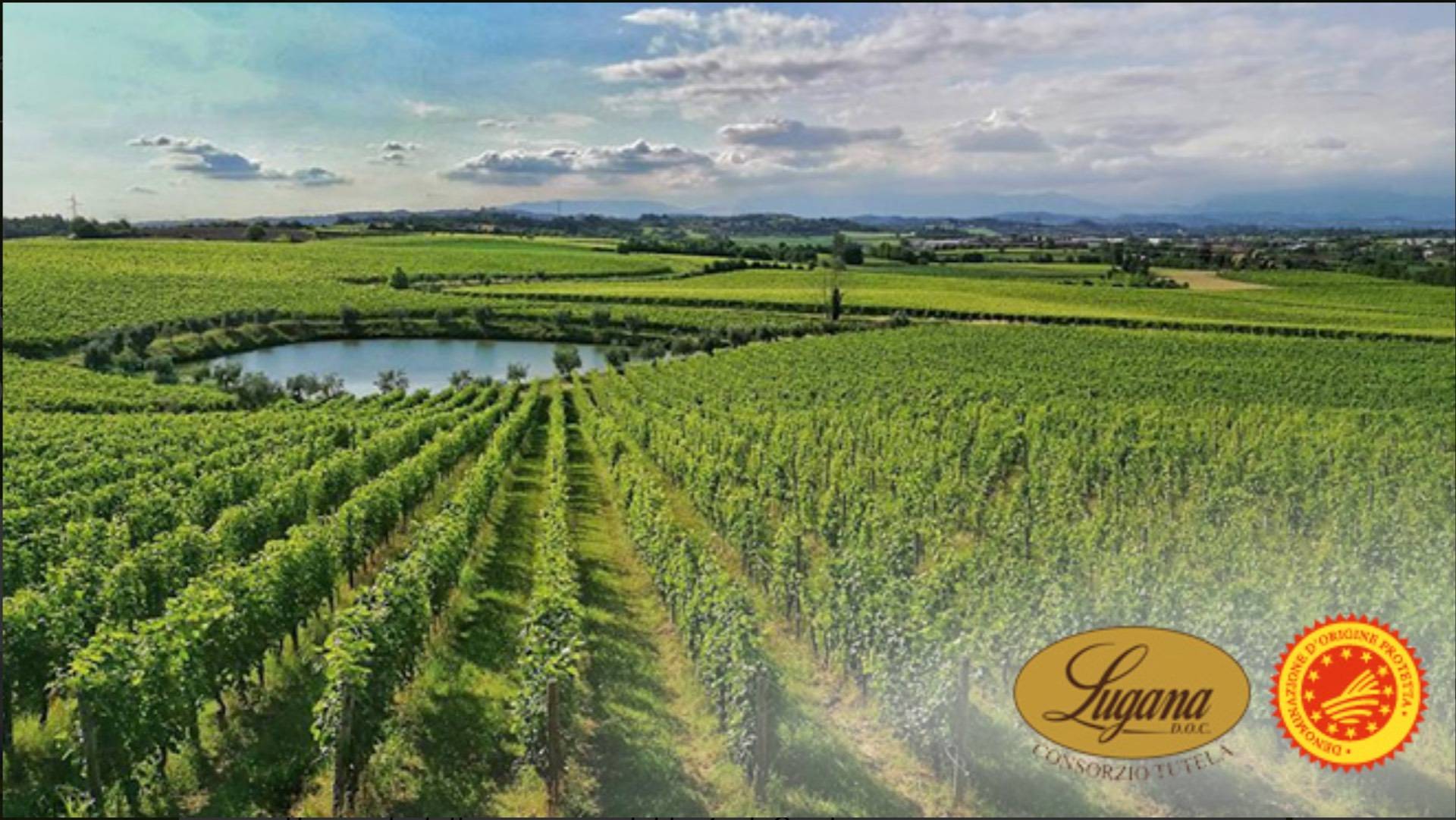 Terreno Agricolo in vendita a Pozzolengo