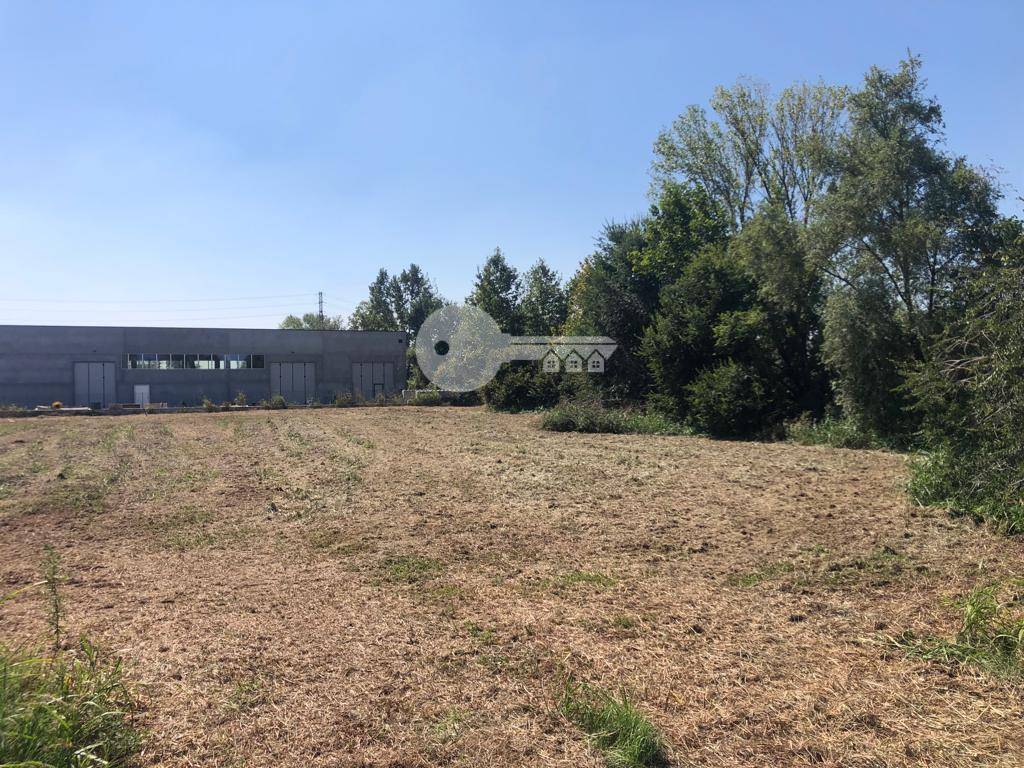 Terreno edificabile in vendita a Ghedi