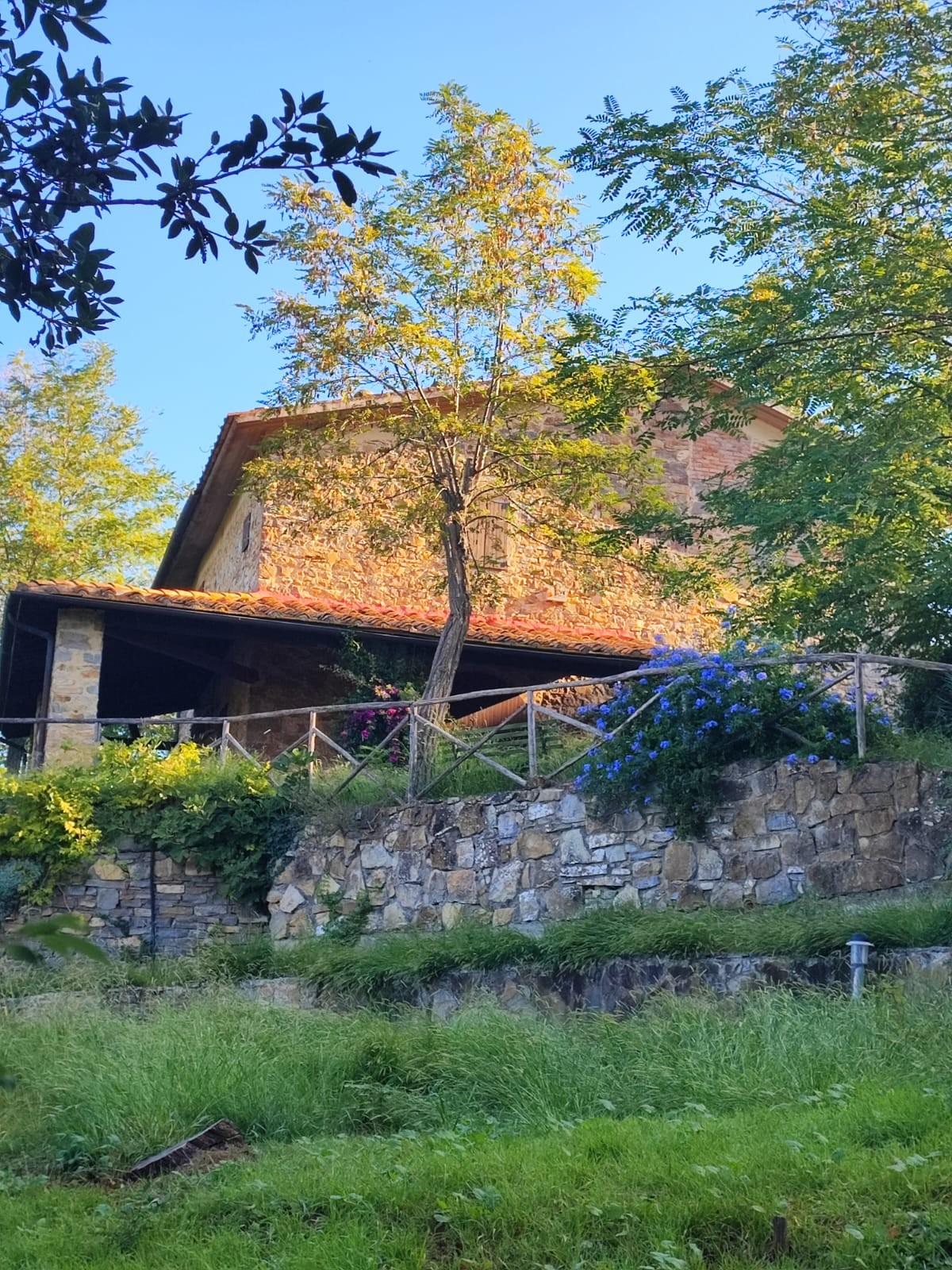 Rustico con giardino, Scansano polveraia