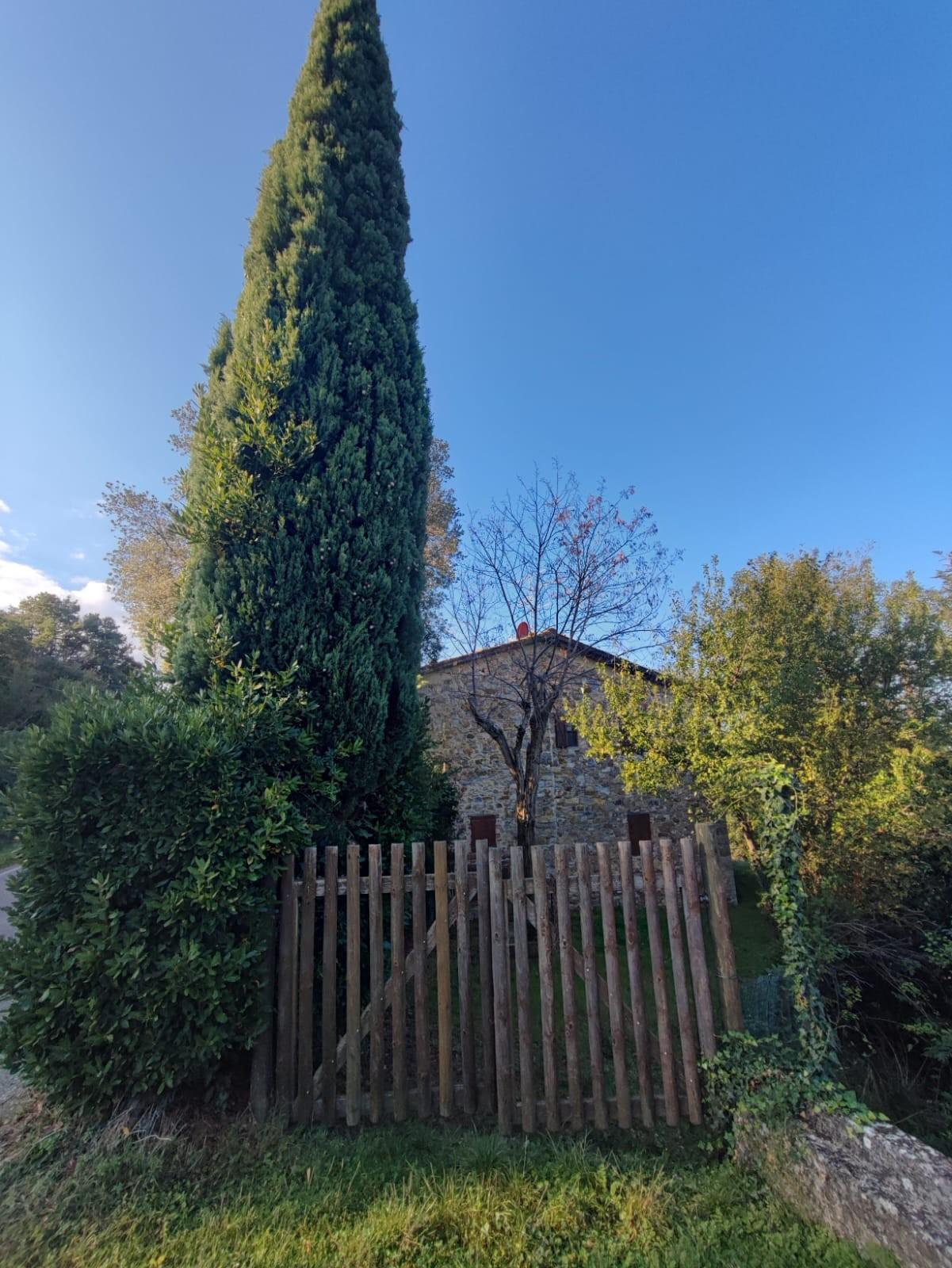 Rustico con giardino, Scansano polveraia