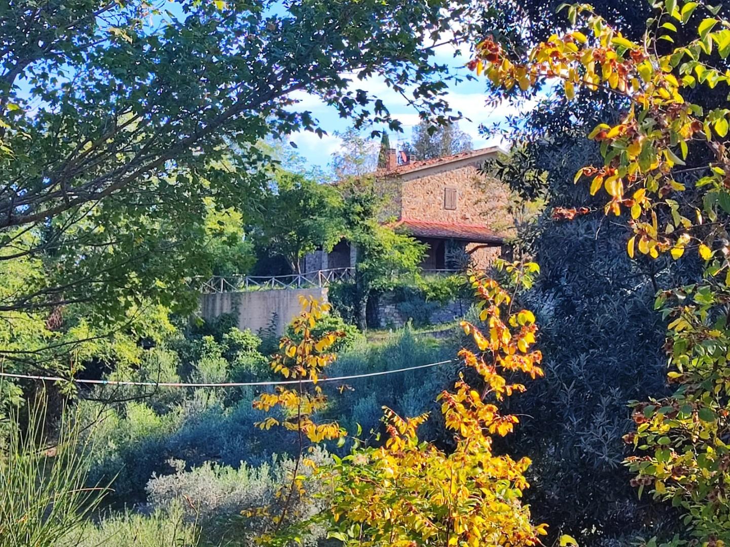 Rustico con giardino, Scansano polveraia