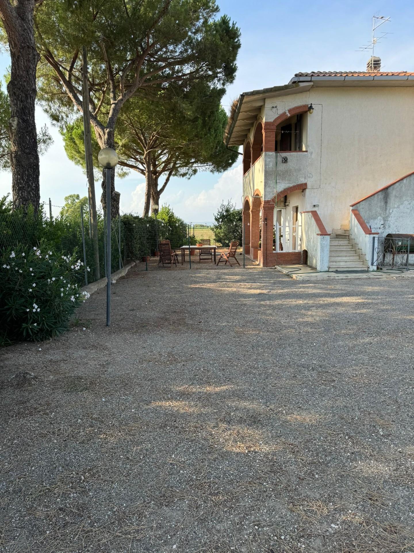 Casa indipendente con giardino, Grosseto pollino