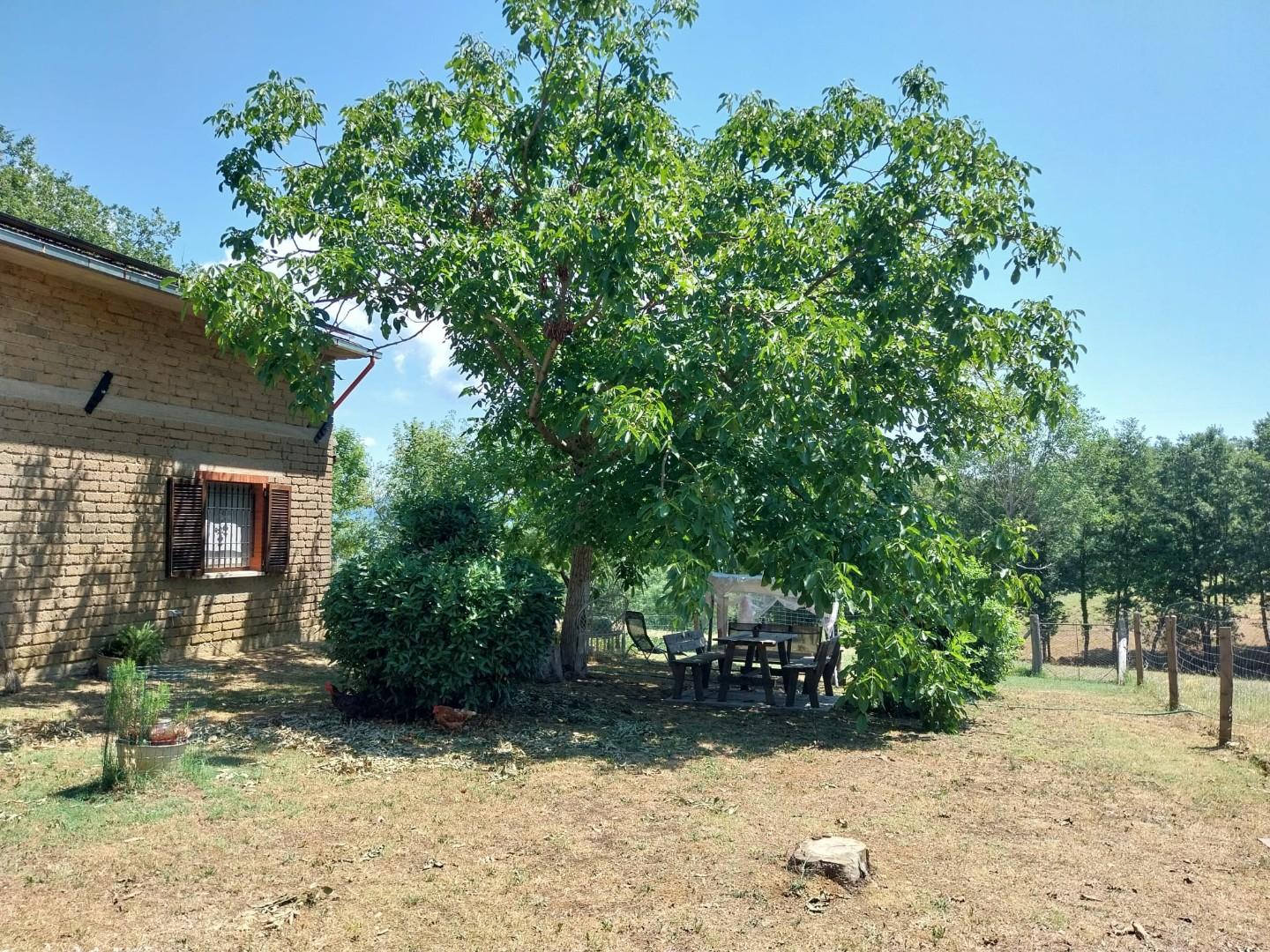 immagine annuncio 4 di 6