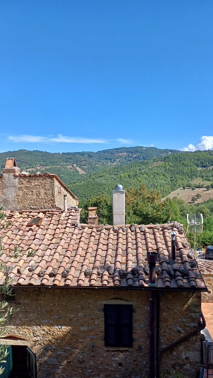 Casa indipendente con giardino a Semproniano