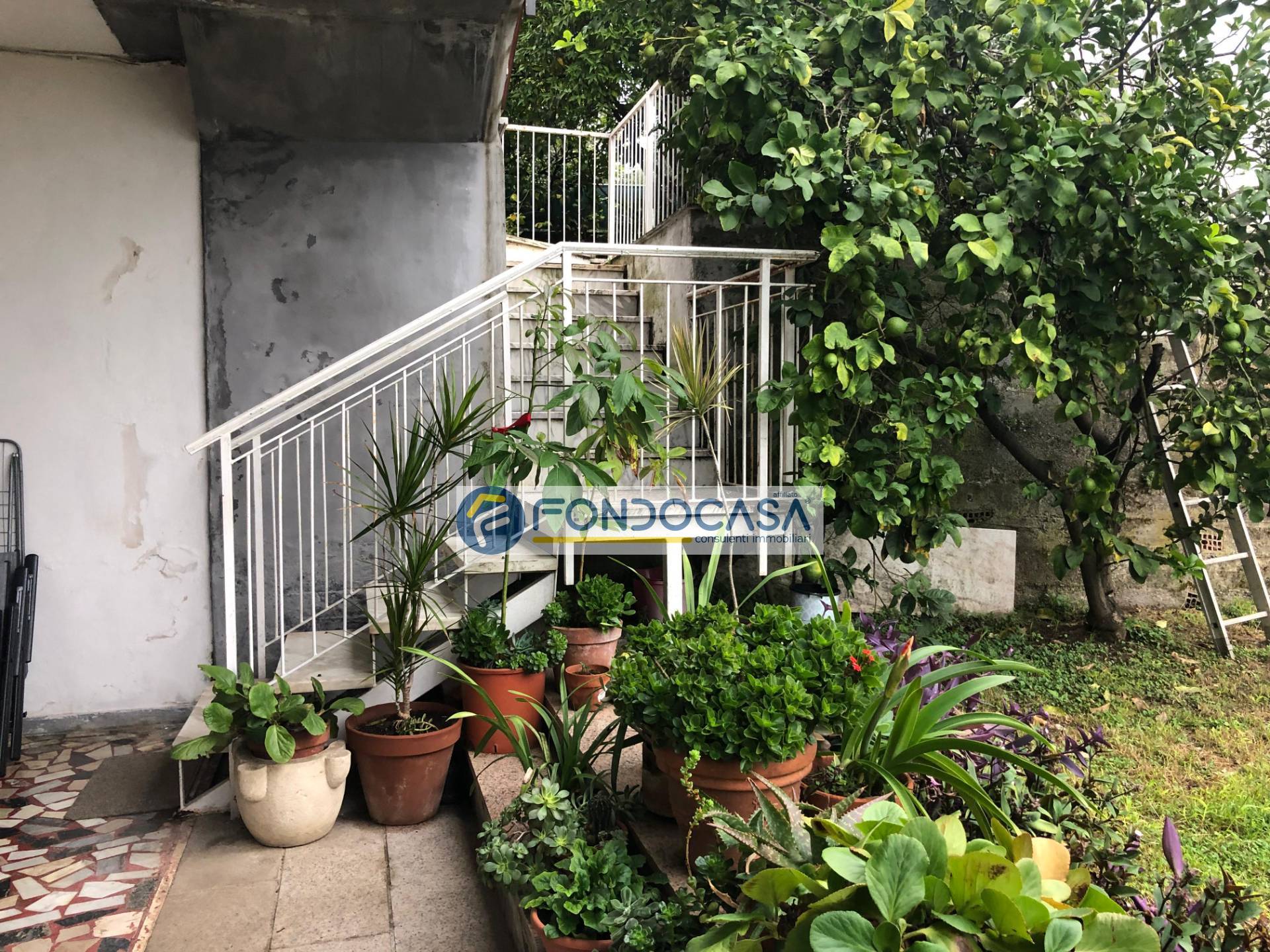 Casa indipendente in vendita a Massa, Centro