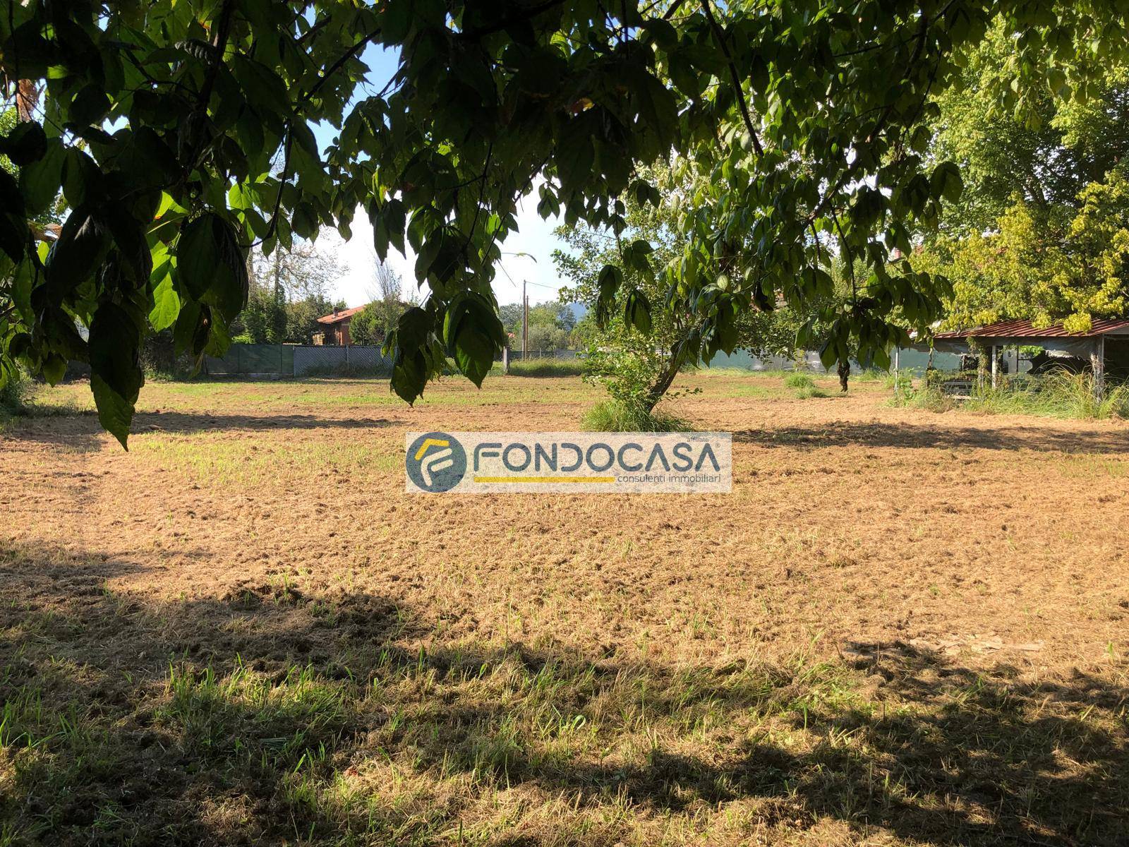 Terreno Agricolo in vendita a Massa