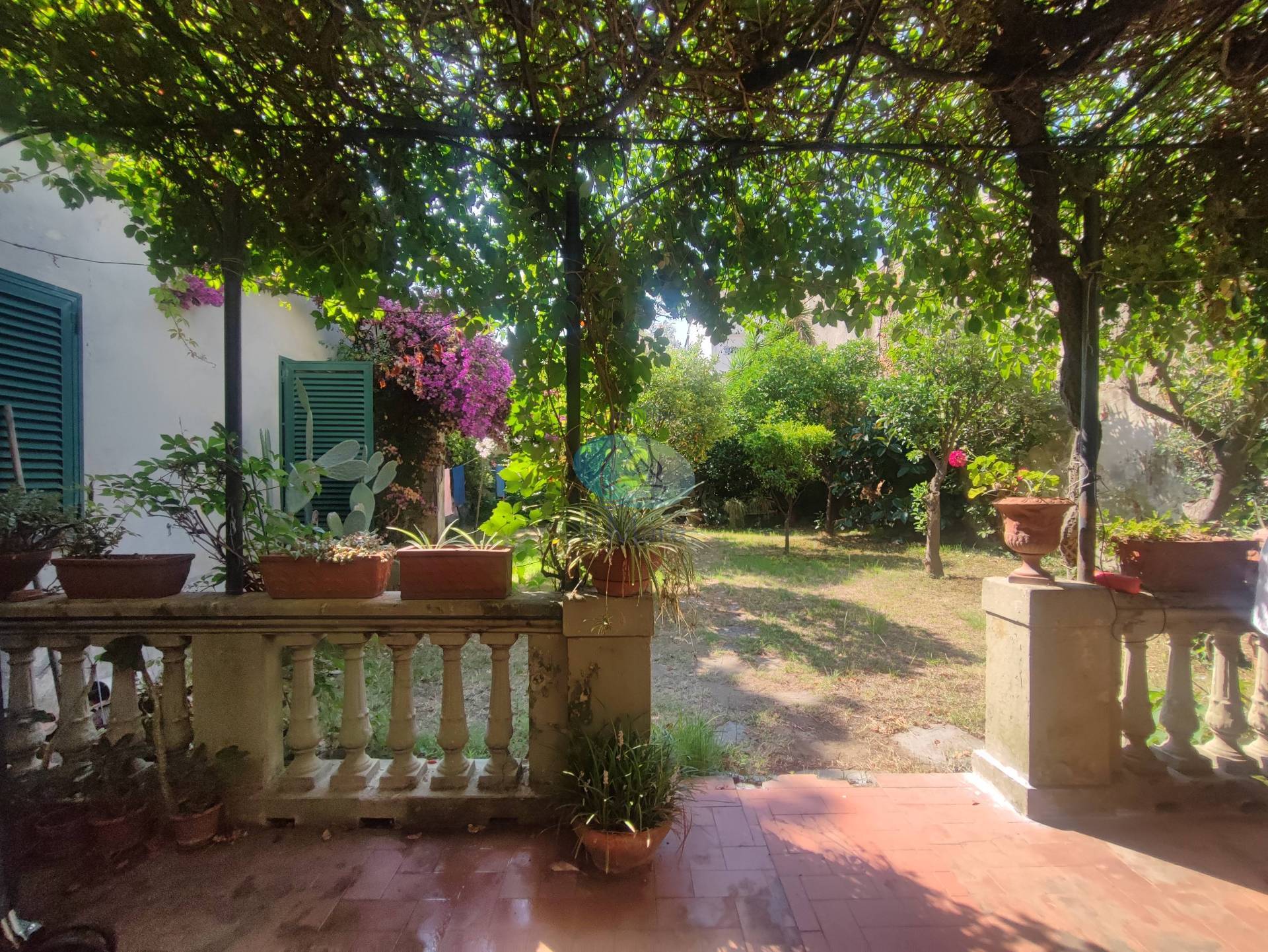 VIAREGGINA in vendita a Viareggio, Centro