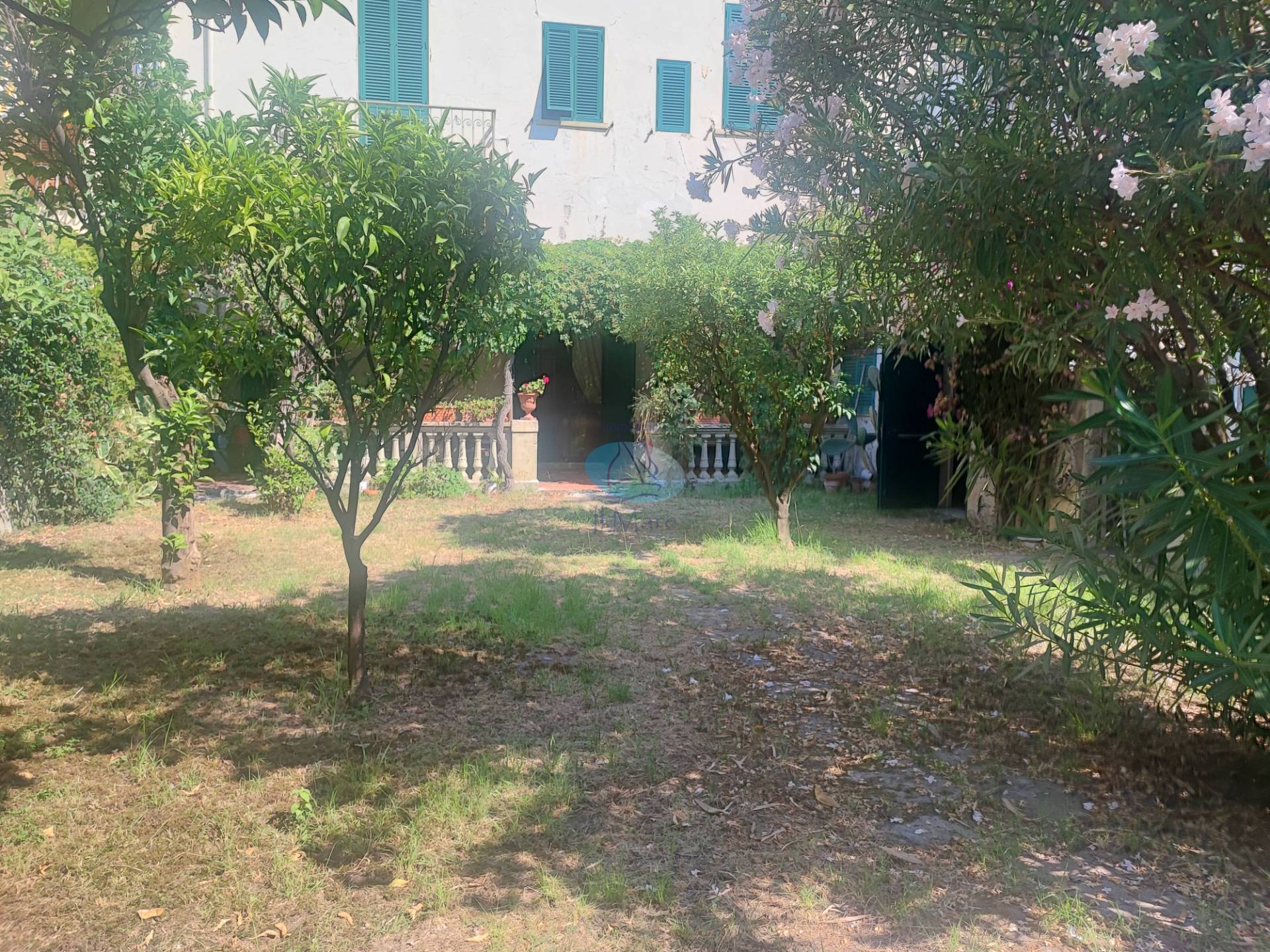 VIAREGGINA in vendita a Viareggio, Centro