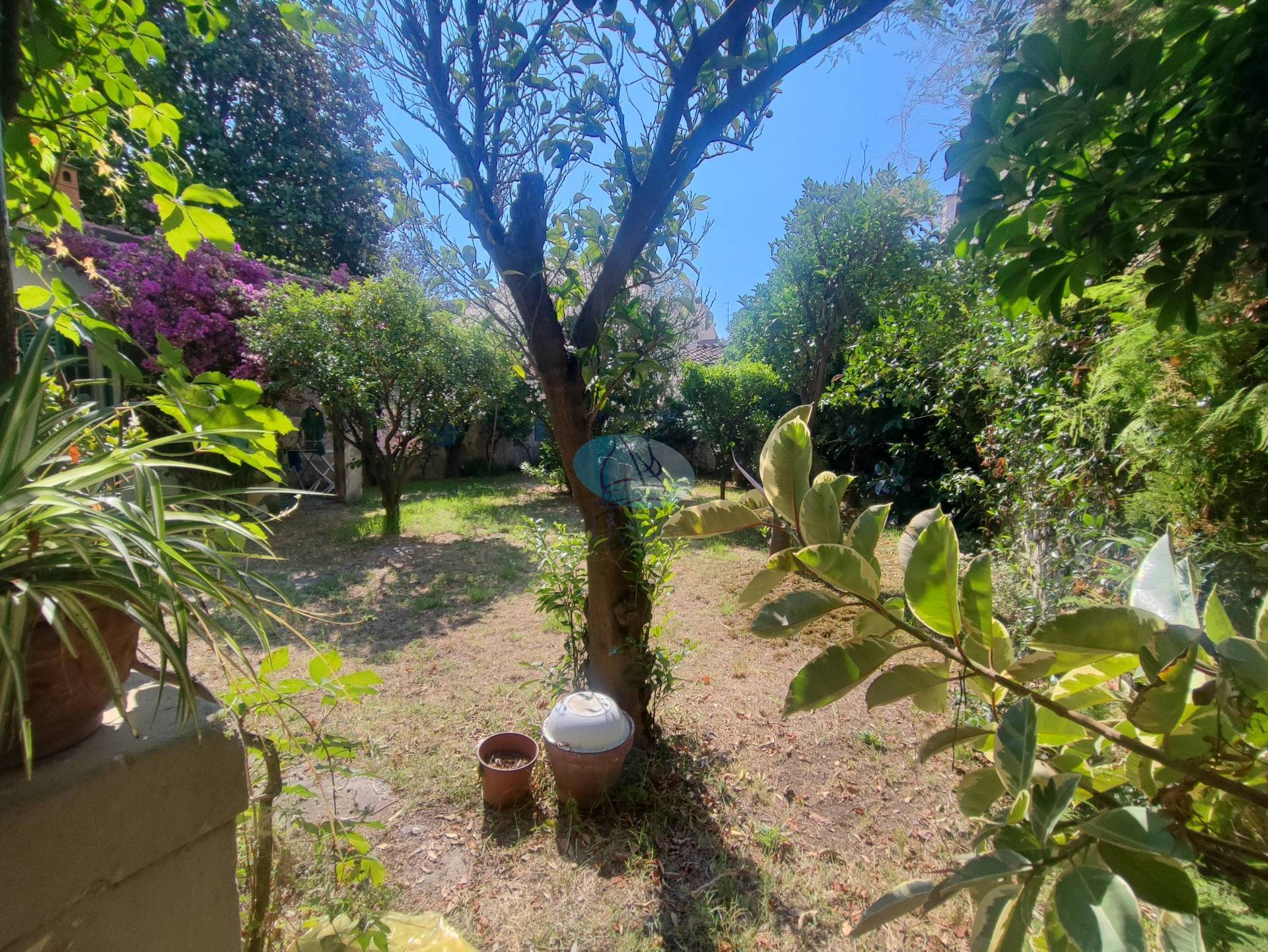 VIAREGGINA in vendita a Viareggio, Centro