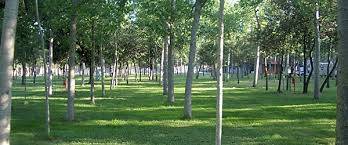 Appartamento in vendita a Viareggio, Centro