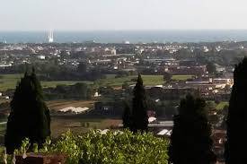 Terreno Agricolo in affitto a Massarosa, Piano di Mommio