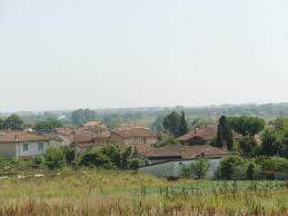 Terreno Agricolo in affitto a Massarosa, Piano di Mommio
