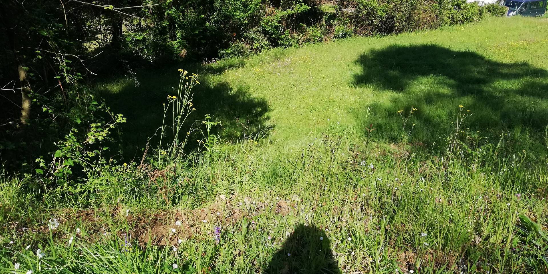 Terreno Agricolo in affitto a Massarosa, Piano di Mommio