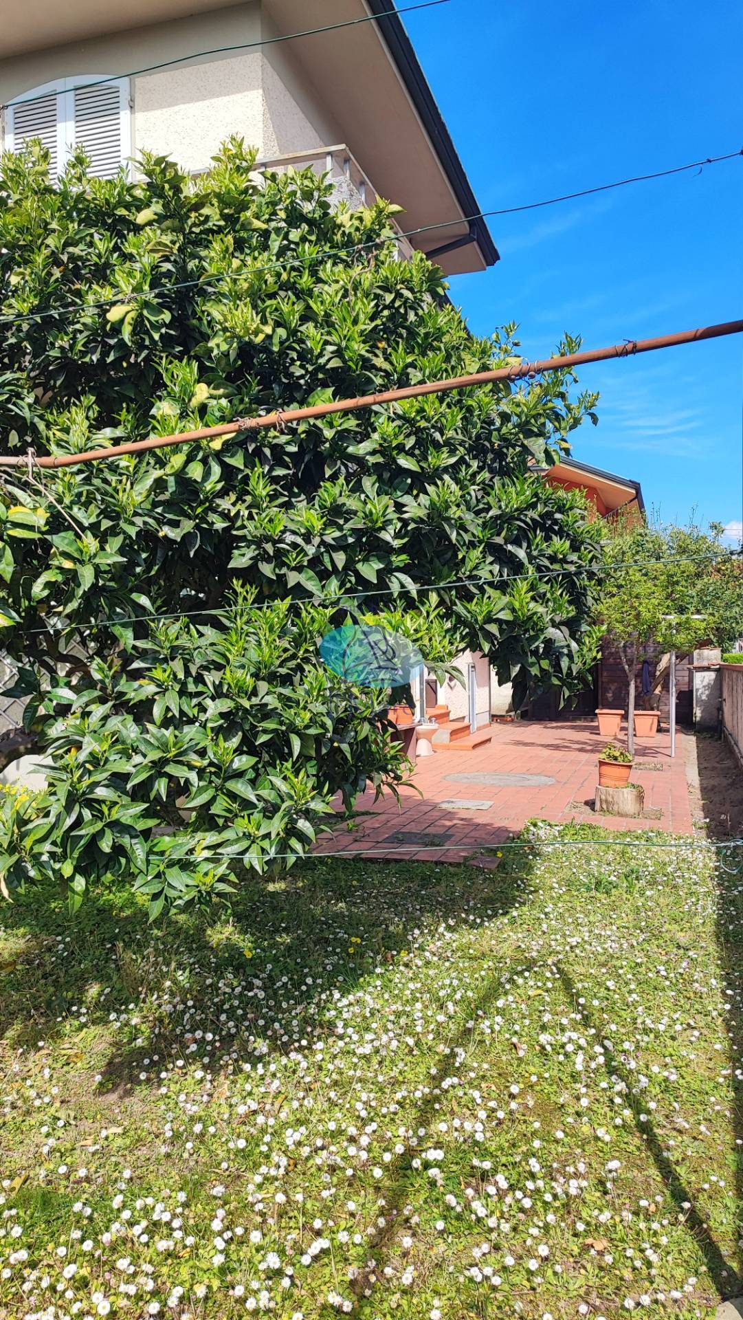 Villa in vendita a Viareggio, Bicchio