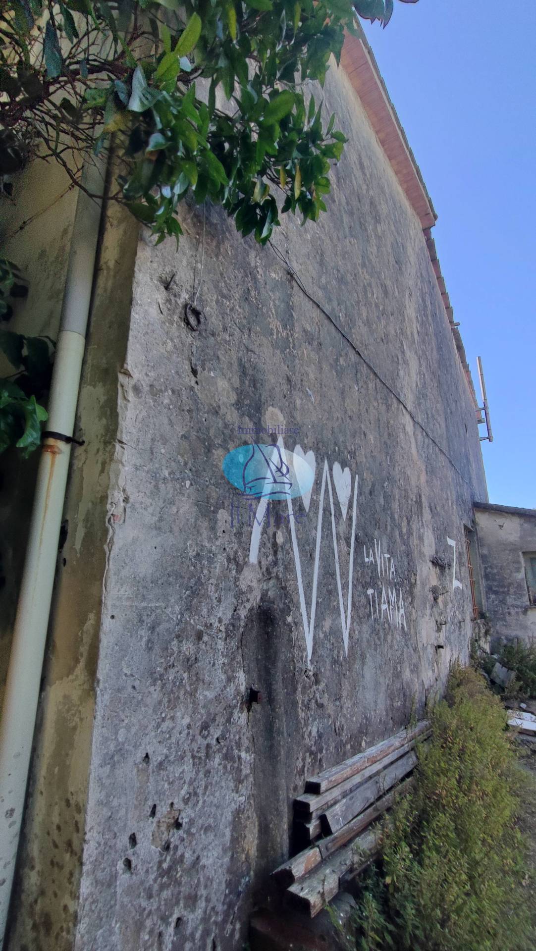 Rustico in vendita a Viareggio, Bicchio