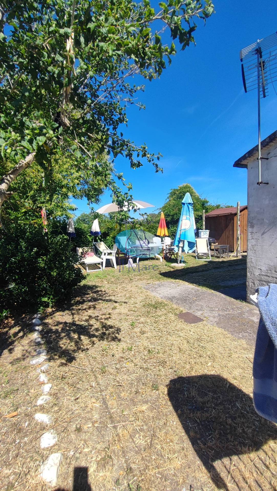 Rustico in vendita a Viareggio, Bicchio