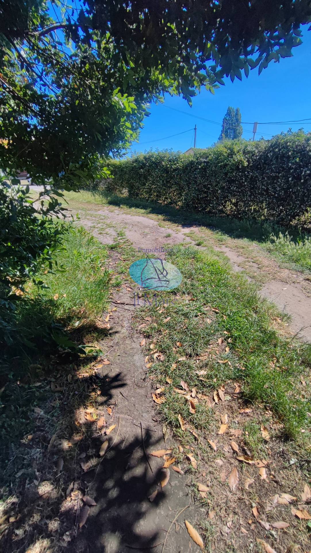 Rustico in vendita a Viareggio, Bicchio