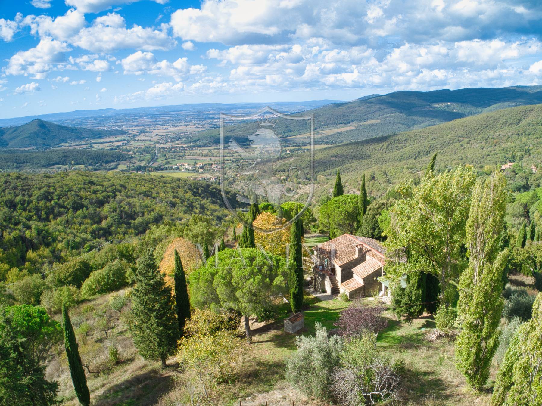 immagine annuncio 5 di 6