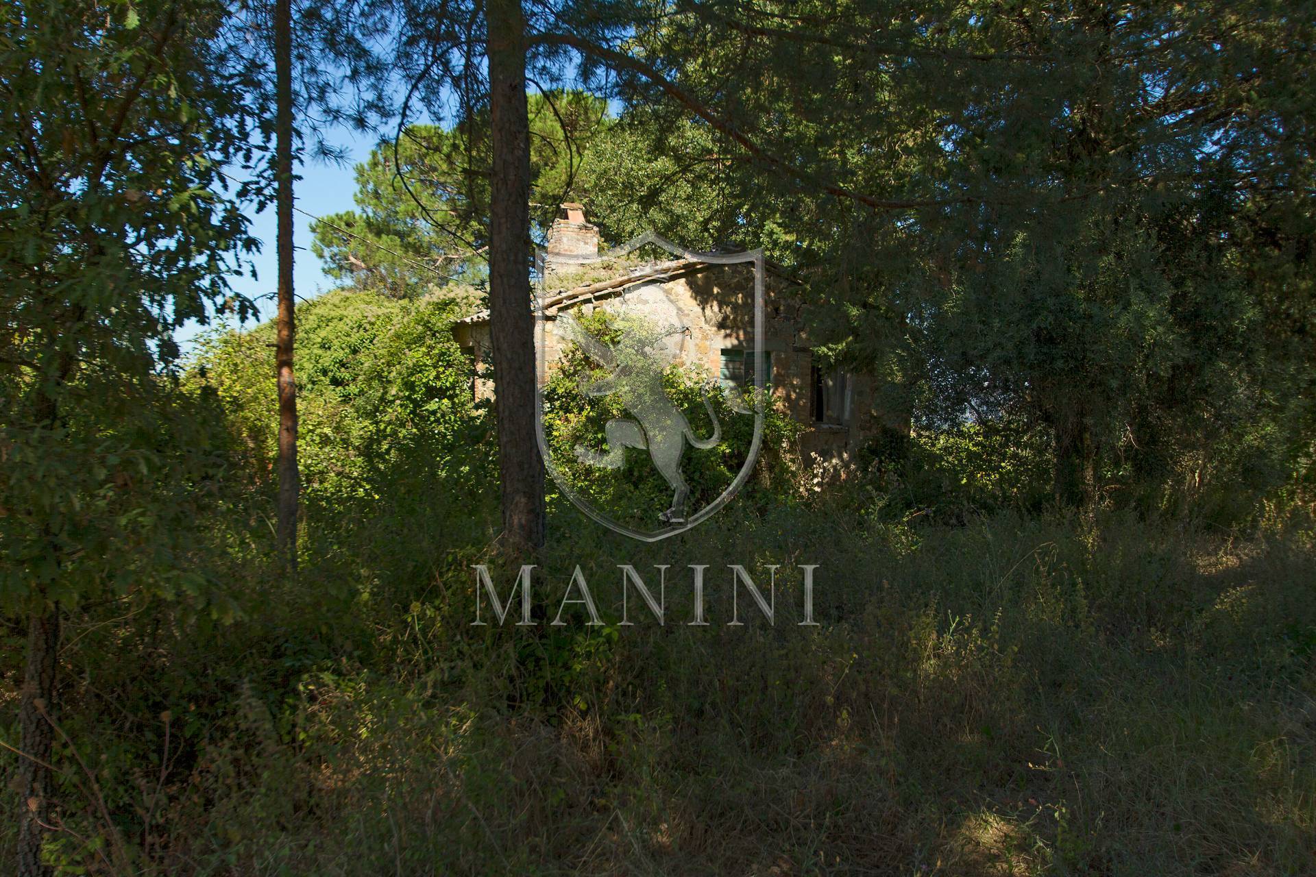 immagine annuncio 5 di 6