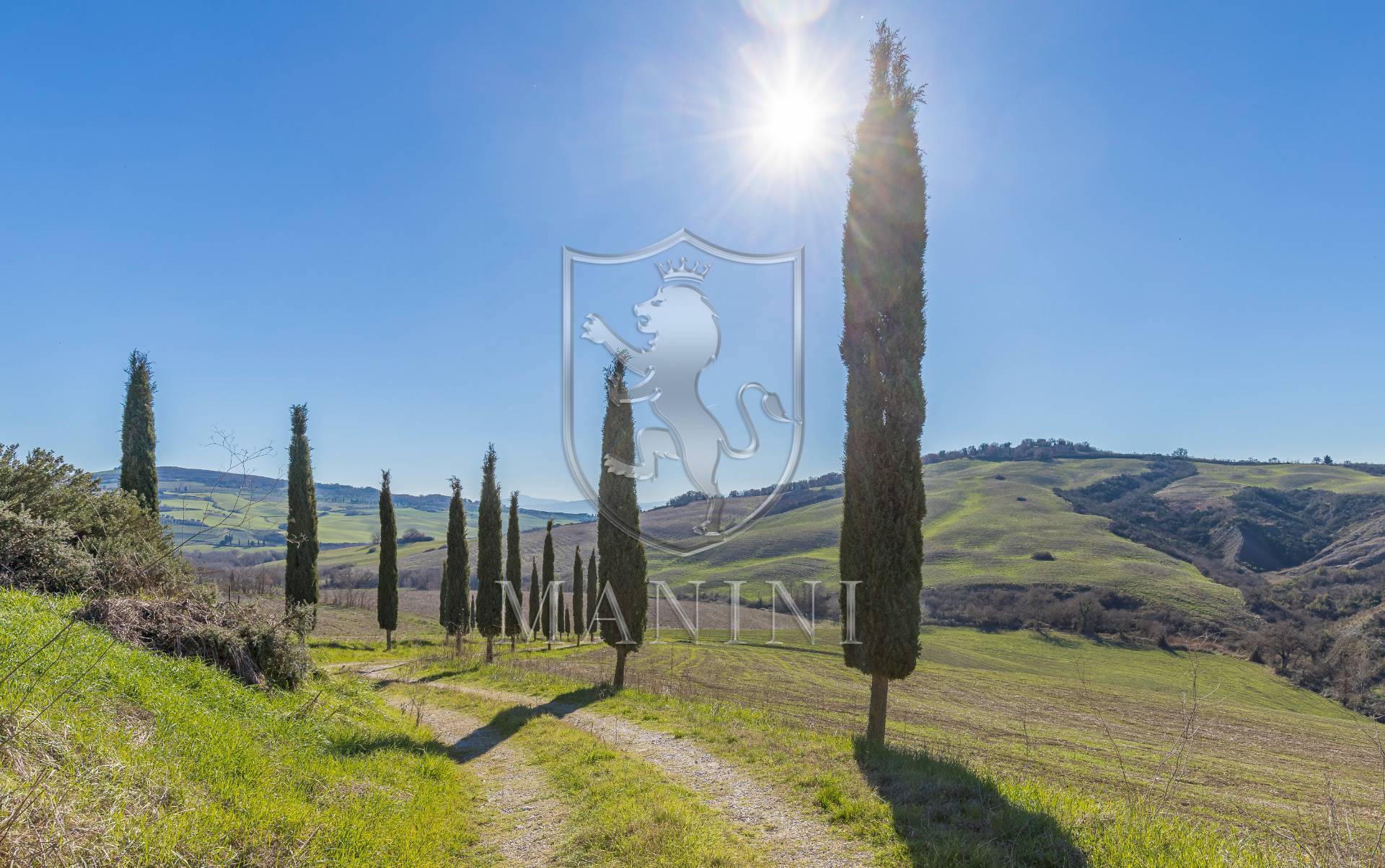 immagine annuncio 5 di 6
