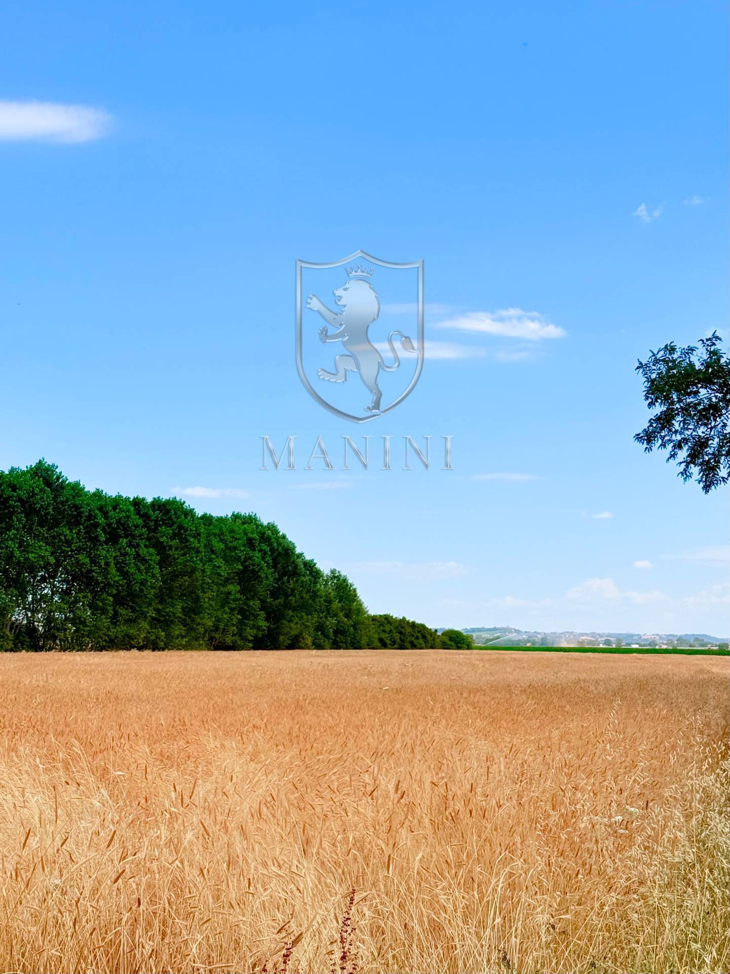 Terreno Agricolo in vendita a Torrita di Siena, Capannone