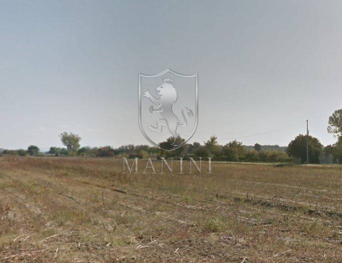Terreno Agricolo in vendita a Torrita di Siena, Capannone