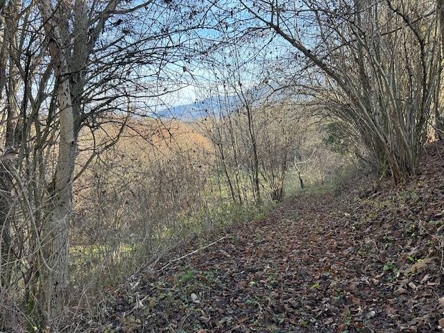 Casa singola in vendita a Feltre