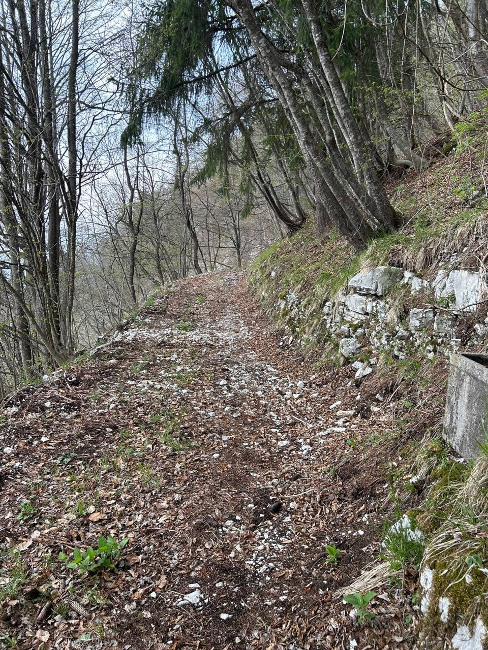 Terreno Agricolo in vendita a Borgo Valbelluna