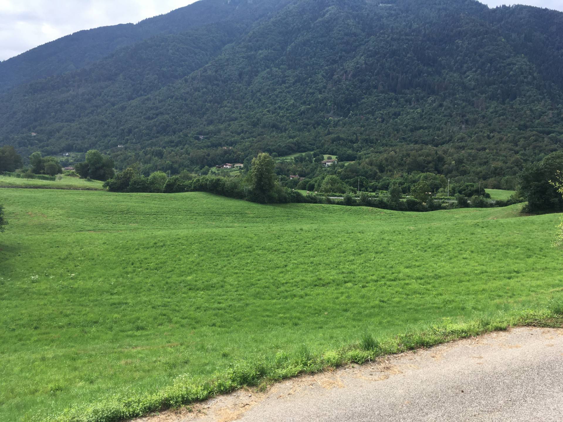 Villette a schiera in vendita a Feltre