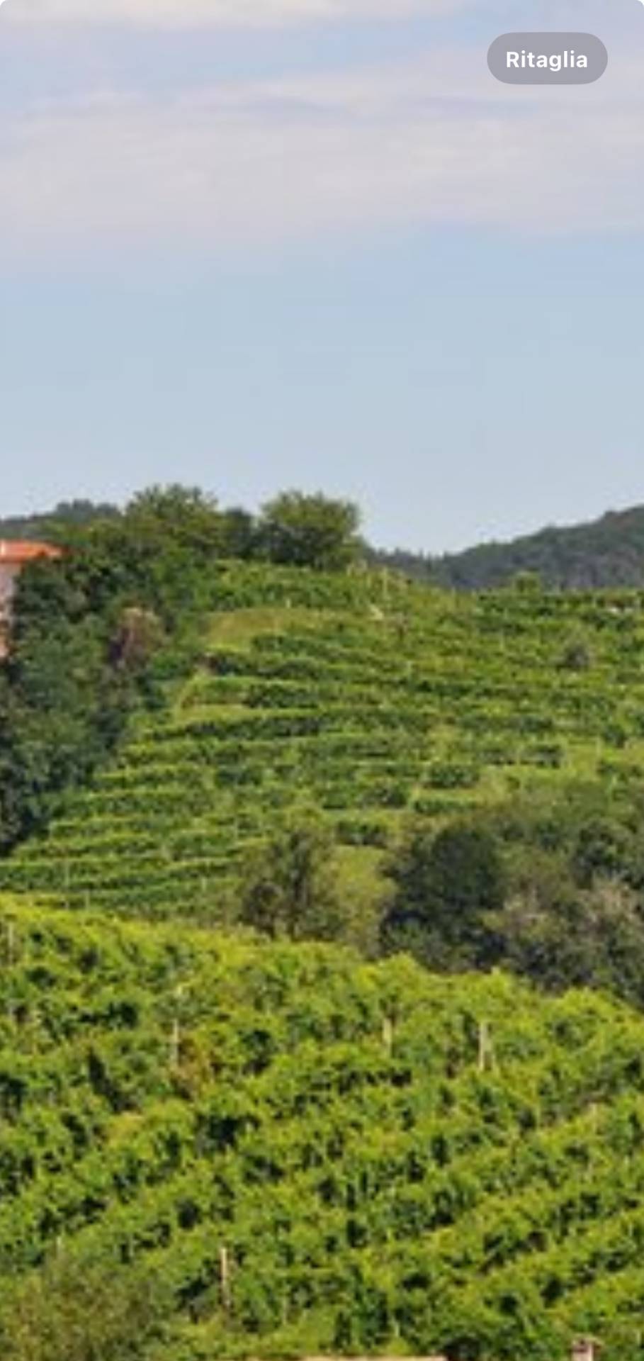 Terreno Agricolo in vendita a Borgo Valbelluna