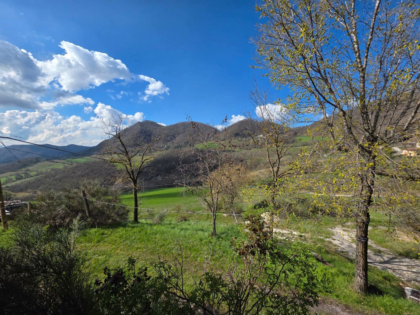 Villa in vendita a Vergato