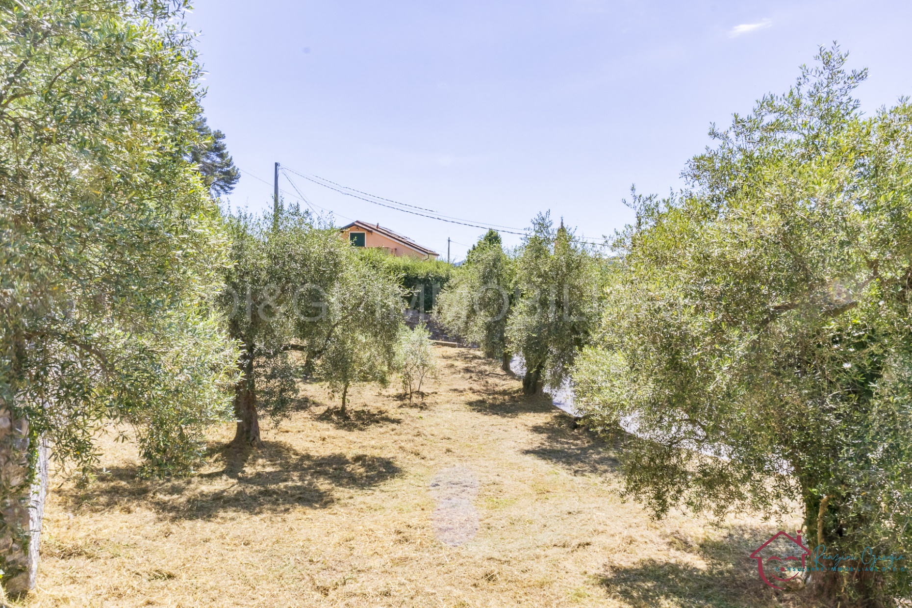 Terreno in vendita a Ortovero