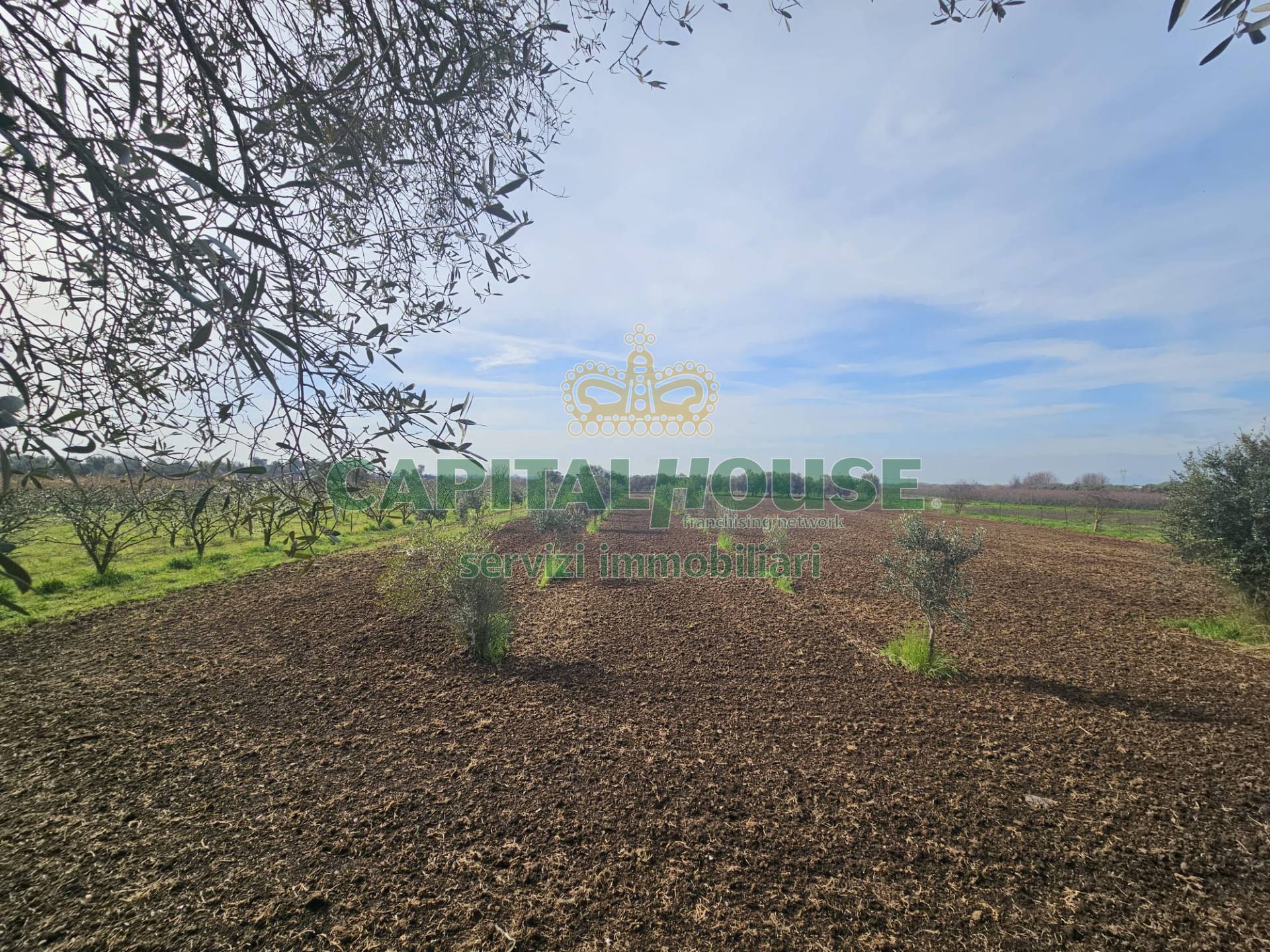 Indipendente in vendita a Pignataro Maggiore