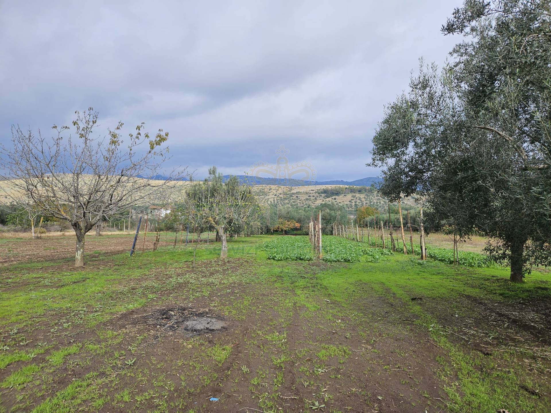 Terreno agricolo in vendita a Pastorano