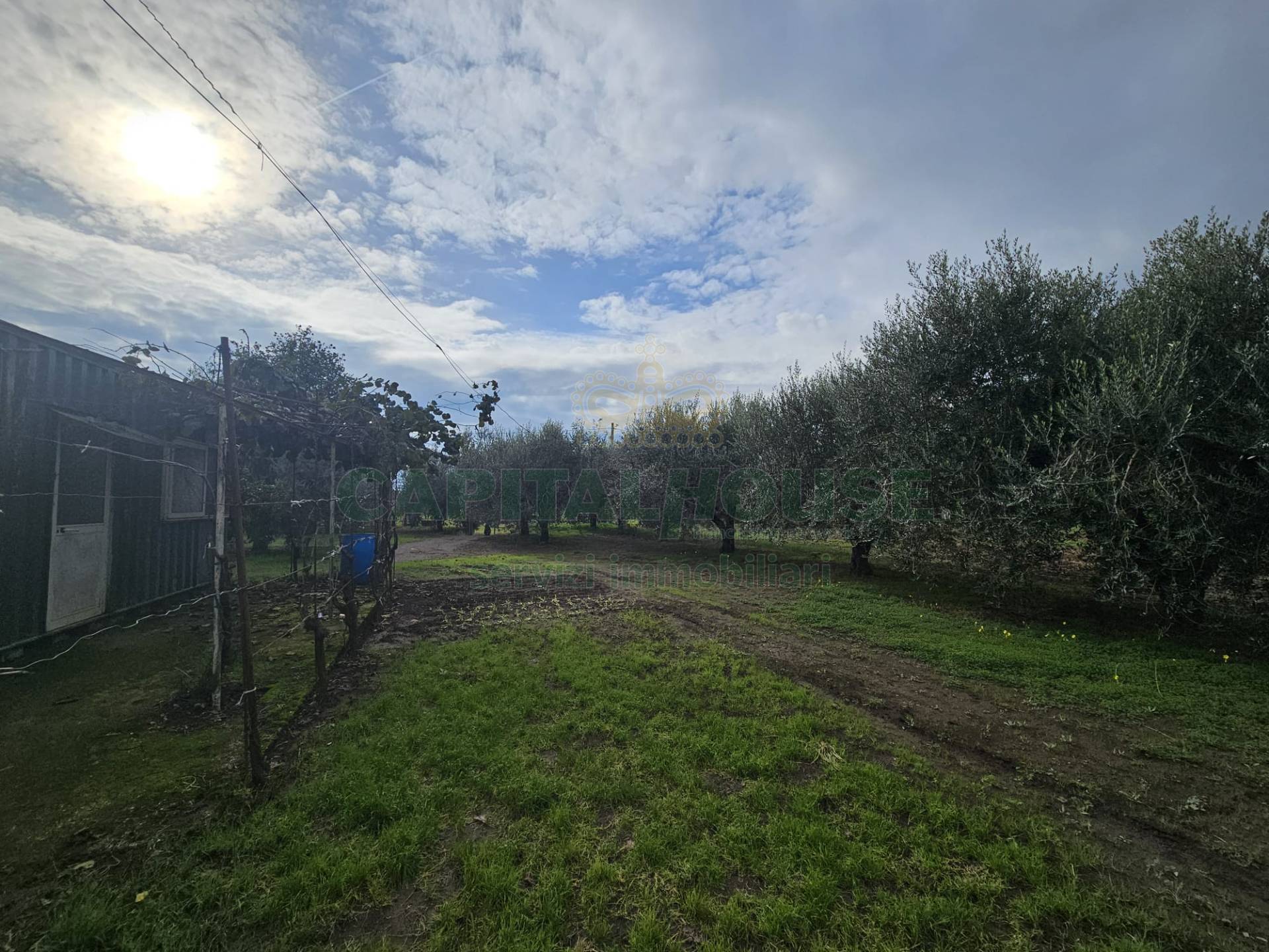 Terreno agricolo in vendita a Pastorano