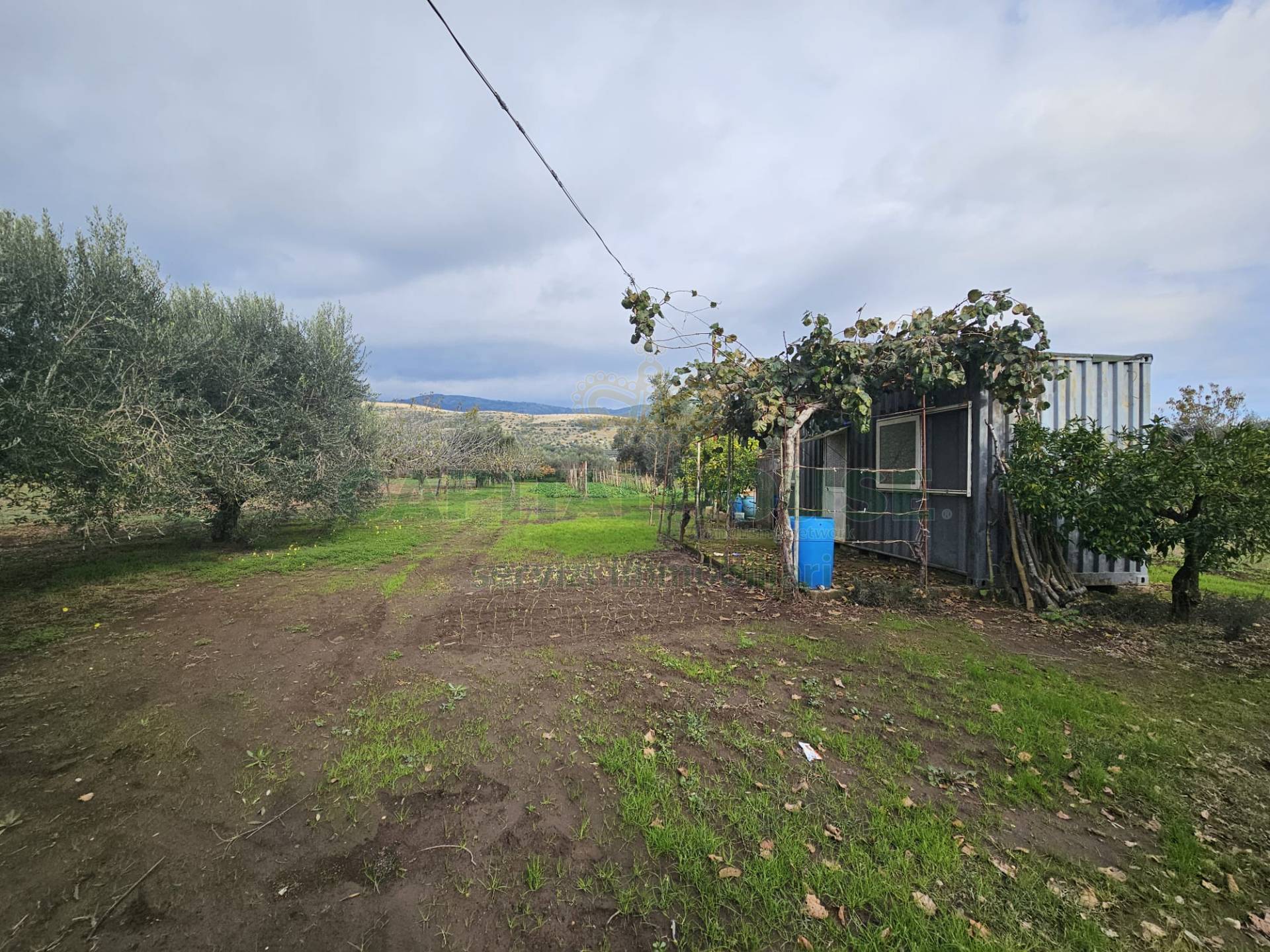 Terreno agricolo in vendita a Pastorano